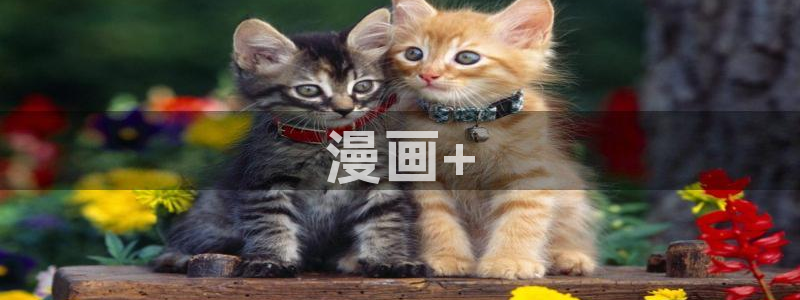 歪歪漫画首页免费我