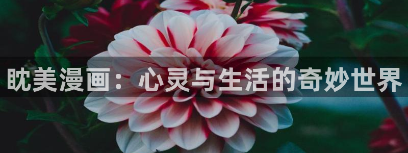 歪歪漫画免费看入口：眈美漫画：心灵与生活的奇妙世界