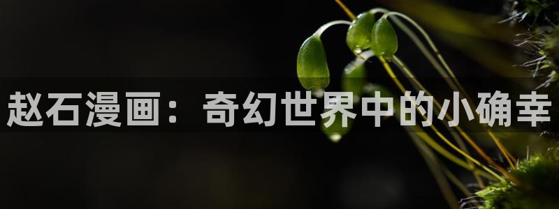 歪歪漫画免费漫画页面跳转：赵石漫画：奇幻世界中的小确幸