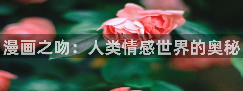 歪歪漫画无删减在线免费观看：漫画之吻：人类情感世界的奥秘