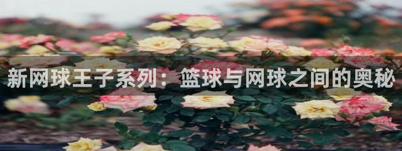 羞羞漫画,歪歪漫画：新网球王子系列：篮球与网球之间的奥秘