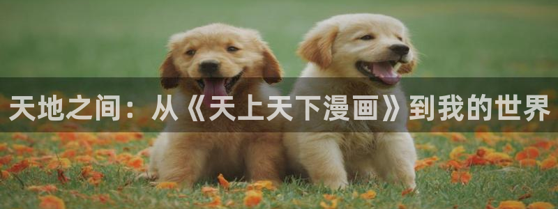 类似歪歪漫画：天地之间：从《天上天下漫画》到我的世界