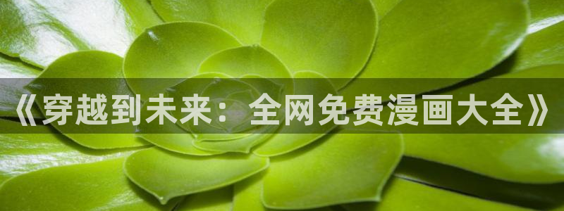 韩漫免费阅读歪歪漫画：《穿越到未来：全网免费漫画大全》