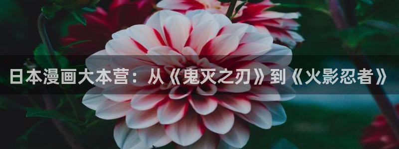 歪歪漫画登录页面免费漫画入口首页网页：日本漫画大本营：从《鬼灭之刃》到《火影忍者》