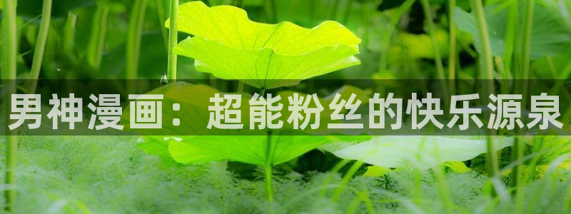 歪歪漫画免费在线入口：男神漫画：超能粉丝的快乐源泉