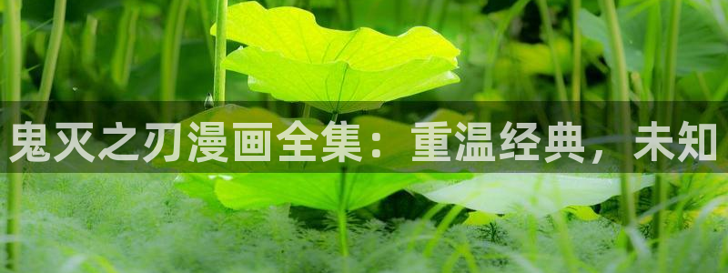 歪歪漫画观看入口免费：鬼灭之刃漫画全集：重温经典，未知
