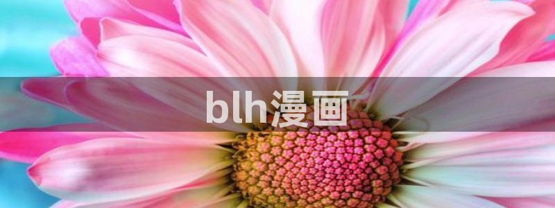 歪歪漫画首页登录界面：blh漫画