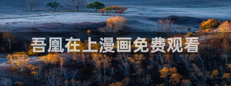 歪歪漫画sss网站：吾凰在上漫画免费观看