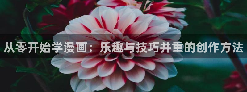 歪歪漫画弹窗：从零开始学漫画：乐趣与技巧并重的创作方法