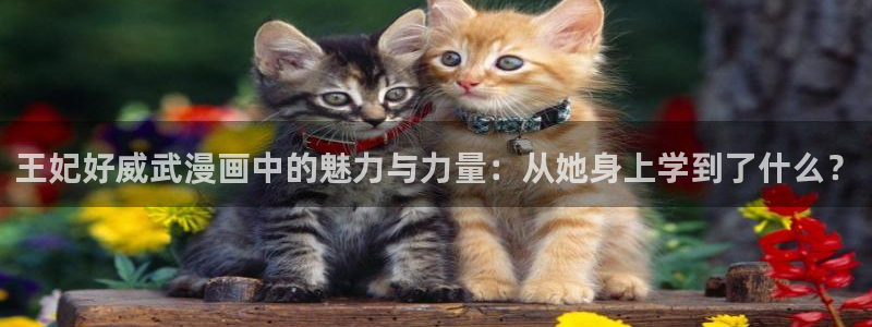 歪歪漫画在线观看韩国：王妃好威武漫画中的魅力与力量：从她身上学到了什么？