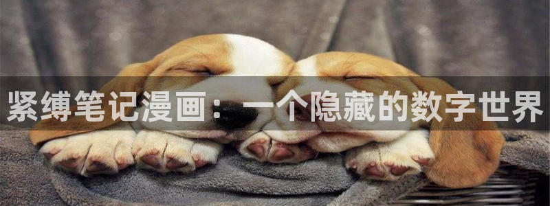 歪歪漫画排行榜：紧缚笔记漫画：一个隐藏的数字世界
