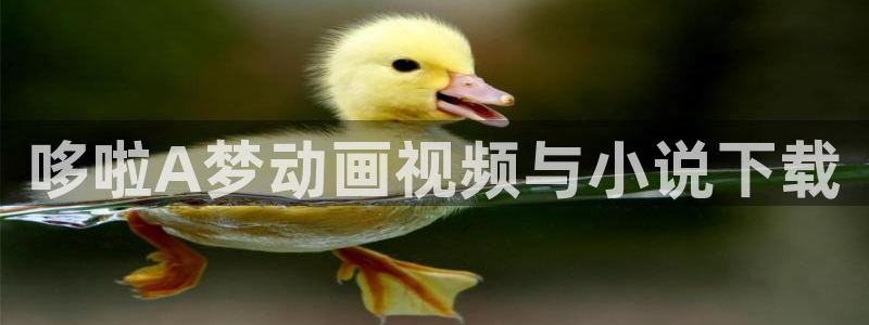 左右漫画歪歪漫画：哆啦A梦动画视频与小说下载