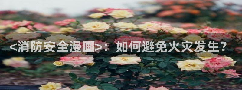 羞羞漫画汗汗漫画歪歪漫画